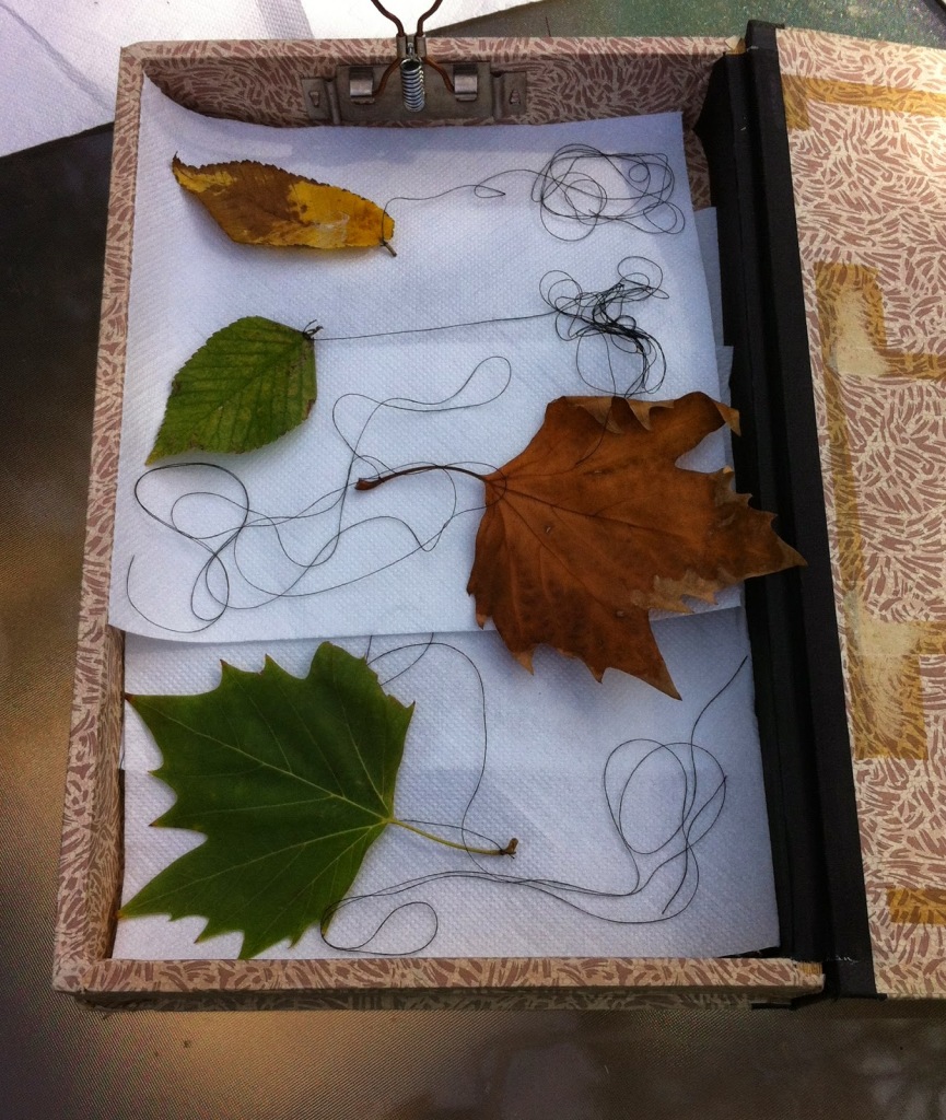 stringing+leaves